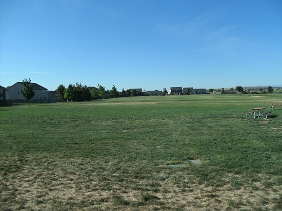 Open grassy field with picnic tables