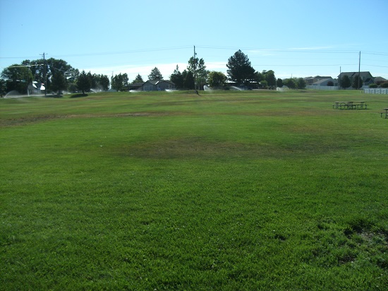 Large grassy field with two picnic tables